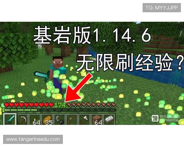 深入了解ag电子技巧实用经验助你稳步提升游戏水平