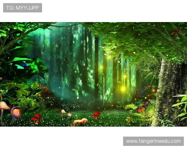 森林舞会的神秘传说,带你走进梦幻的树海世界 森林舞会的神秘传说,带你走进梦幻的树海世界