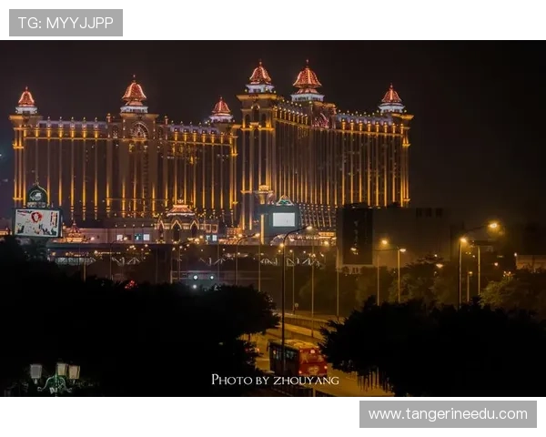 澳门新葡京手机登录操作指南，详细步骤帮助新手快速顺利登录体验