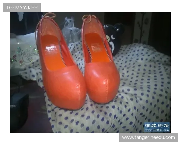 详细解读凯发网网站登录入口手机版，带你体验无限精彩