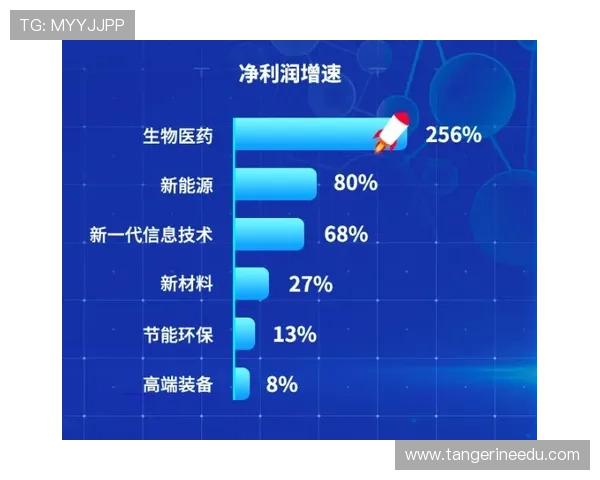 凯发体育备用平台官网技术支持保障平台稳定运行体验