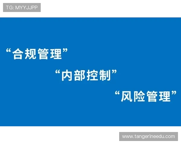 K8电子游戏的合法性与监管政策解析保障玩家权益与平台合规