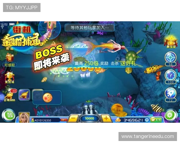 K8捕鱼游戏中常见问题解决方案与实用技巧分享帮助玩家快速上手