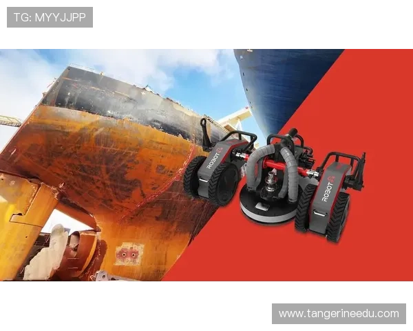 凯发官网备用平台功能全面，满足不同玩家的多样化需求