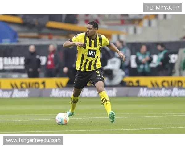 k8凯发一触即发：专业玩家分享实用策略与技巧让你在激烈对战中占据优势