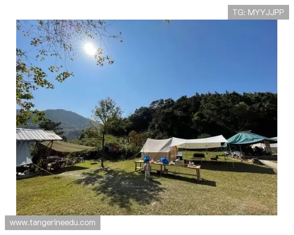 K8利来平台注册流程与新手玩家必知的操作指南