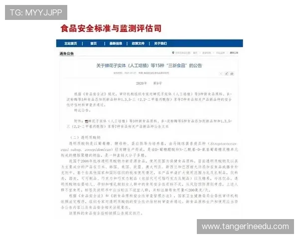 K8亚游集团安全保障措施详解确保玩家资金与信息双重安全