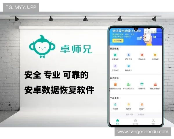 凯发手机版登录线路技术支持，提供全天候服务确保登录无障碍的专业保障