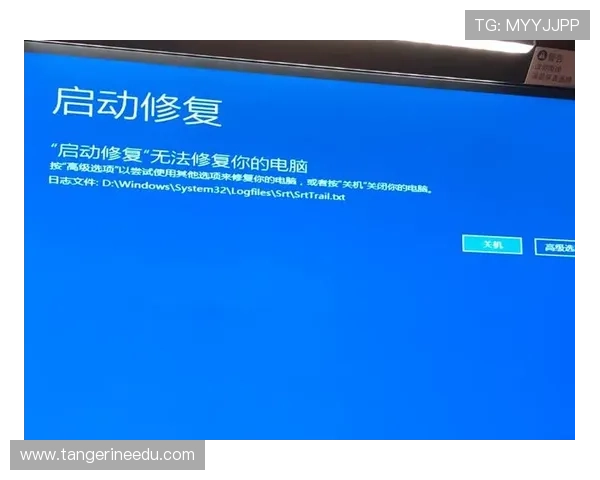 凯发旗舰厅登录线路错误的常见原因及快速修复方法指南