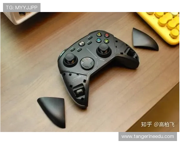 K8电子不同类型游戏玩法介绍及特色亮点分析