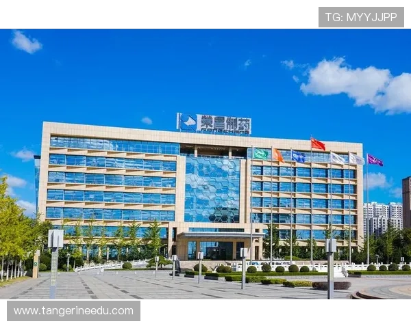 中国凯发集团有限公司官网注册流程详解及常见问题解决方案 中国凯发集团有限公司官网注册流程详解及常见问题解决方案