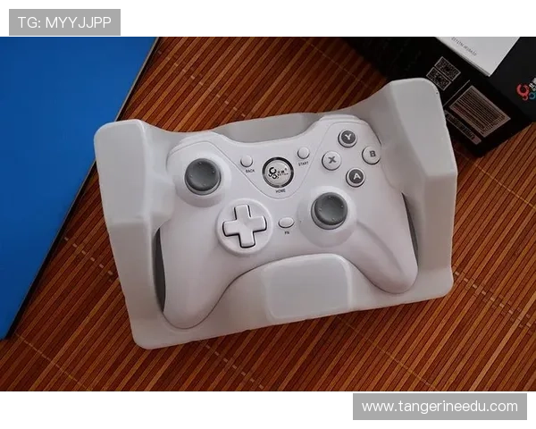 凯发k8娱乐平台多样化游戏类型推荐满足不同玩家的娱乐需求